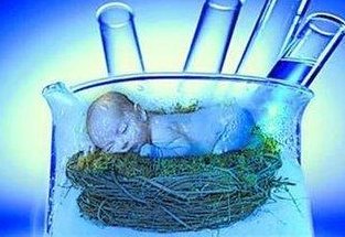 浙江大学第一医院试管婴儿医疗保险报销条件预览