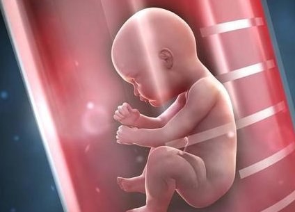 【西宁弓形子宫做试管医院名单】2026试管移植成功因素分析