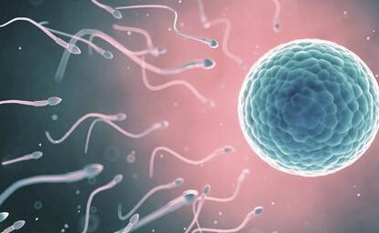 重庆三代试管婴儿费用全揭秘，从术前到移植，一文读懂费用明细