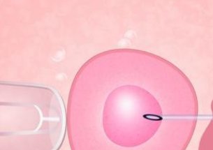 天津公立医院卵子要等多久？公立医院做三代试管的费用是多少？