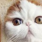 2026年想去泰州市做试管婴儿需要准备哪些事？详细收费明细一览