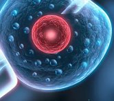 试管婴儿移植后睡不着觉怎么办？