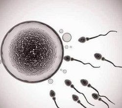 试管微刺激方案的费用多少？注意事项有哪些？