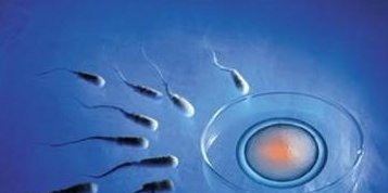 西安市人民医院是否可以助孕做试管？申请试管助孕要求详解